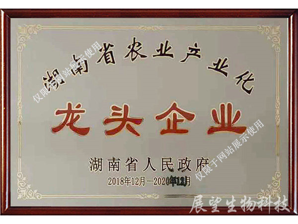 龍頭企業
