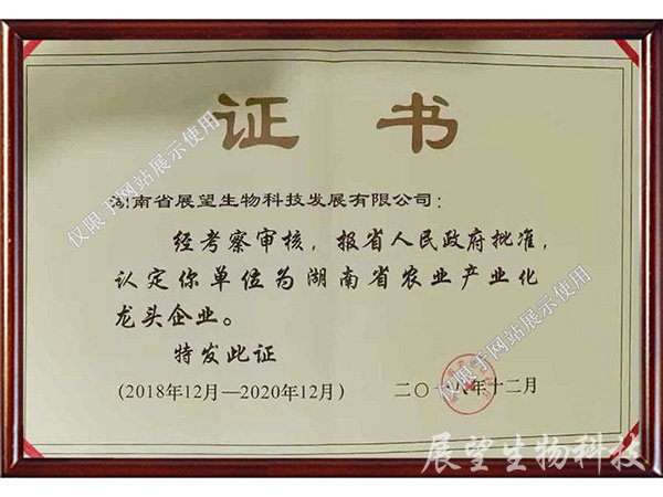 龍頭企業證書