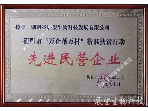 先進民營企業