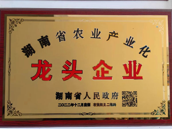 龍頭企業