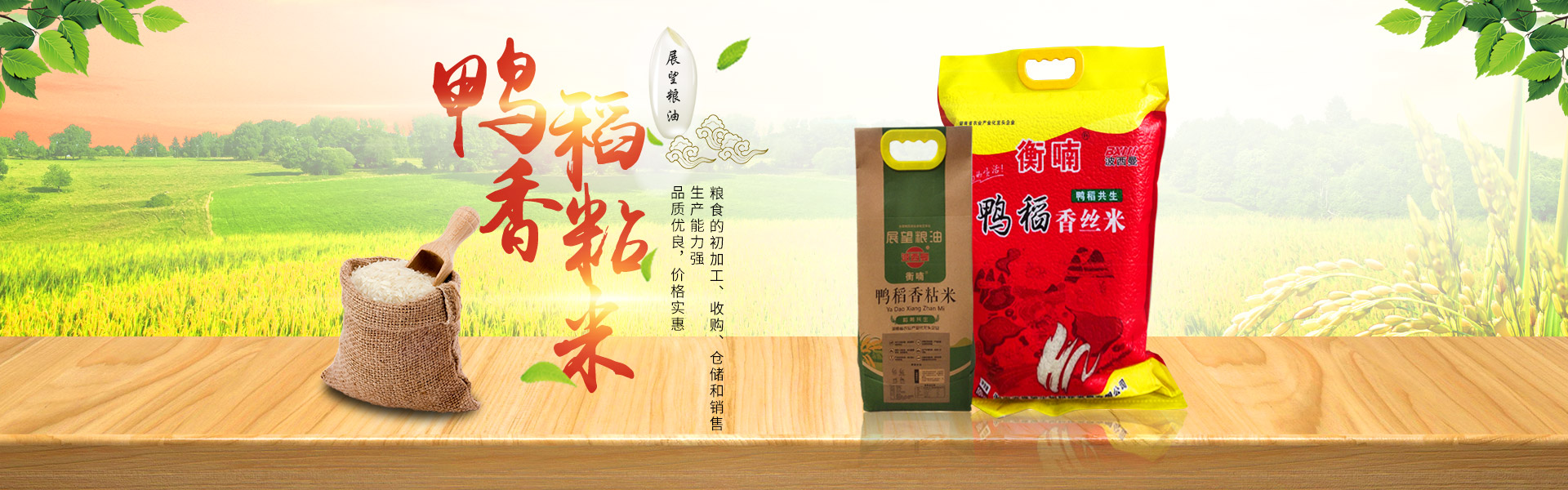 湖南省展望生物科技發展有限公司_農副產品加工|糧食收購